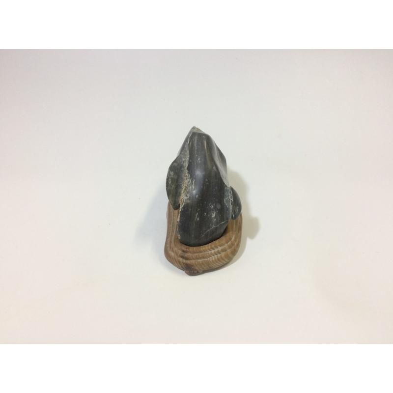 レア！ マッコウ石 抹香石 水石