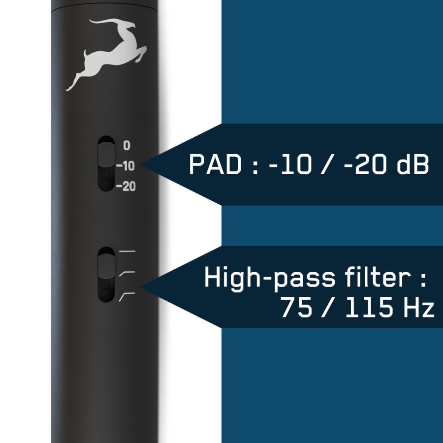 Antelope Audio Edge Note スモールダイアフラム コンデンサー 
