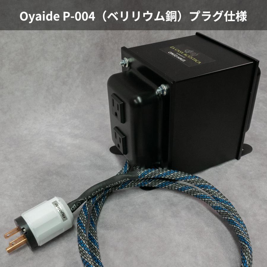 カスタムメイド ステップアップ アイソレーション トランス FIT-510 