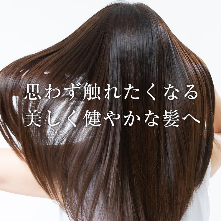 La CASTA（ラ・カスタ） ヘアブラシ | ヘッドスパブラシ DX | ブラシ