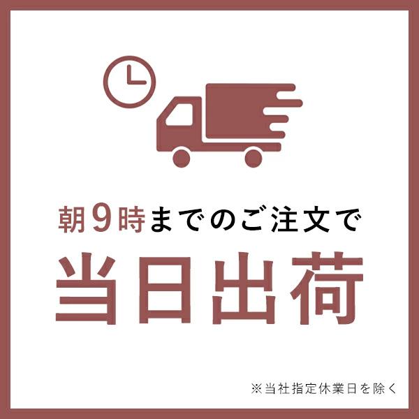 La CASTA（ラ・カスタ） シャンプー用 詰め替え容器 | カートリッジ 式