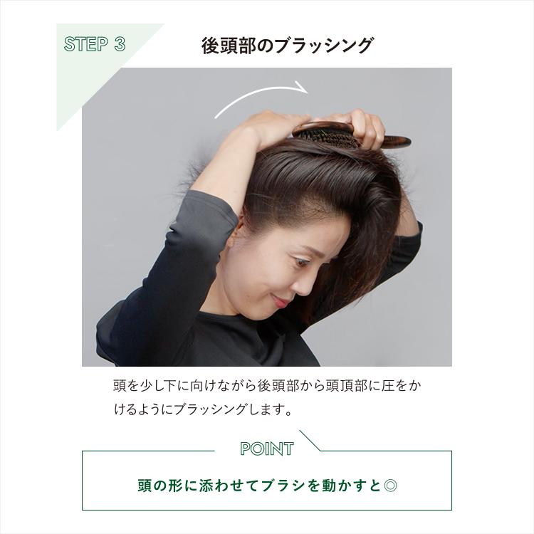 La CASTA（ラ・カスタ） ヘアブラシ | ヘッドスパブラシ + 専用