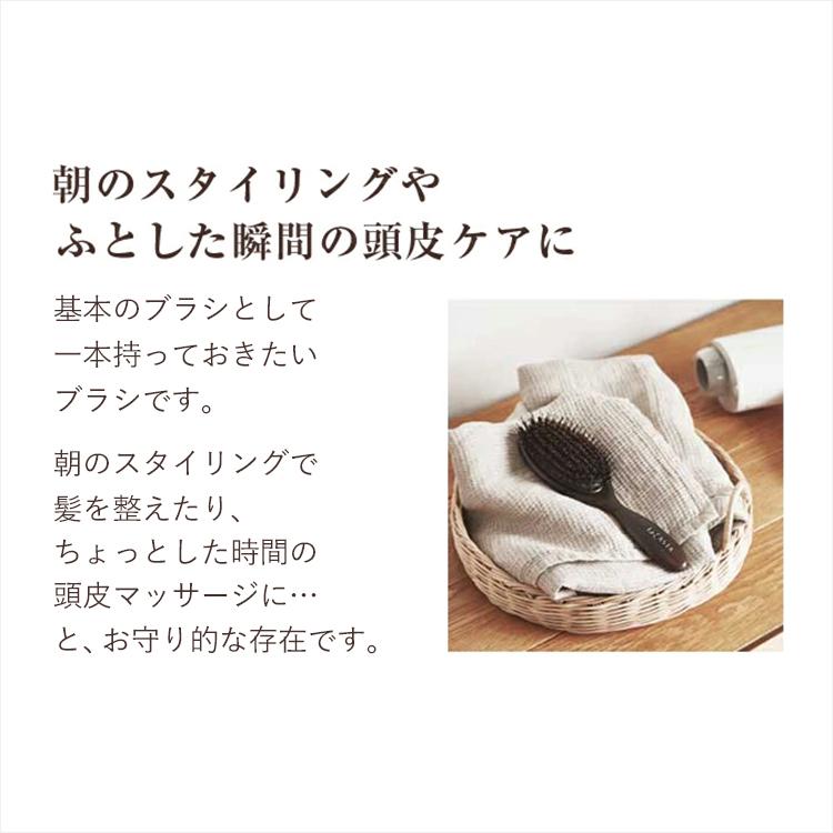 La CASTA（ラ・カスタ） ヘアブラシ | ヘッドスパブラシ + 専用