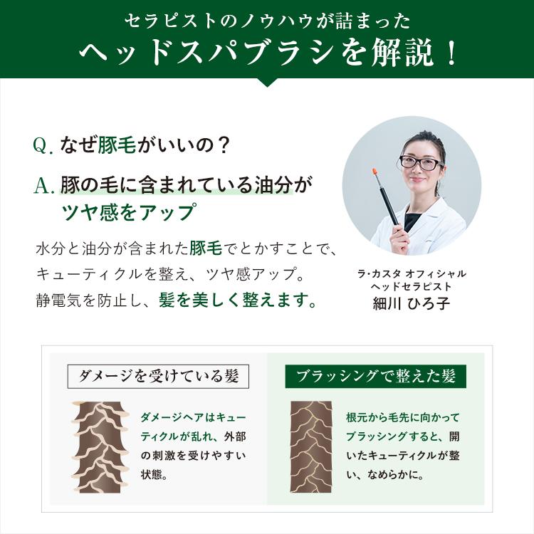 La CASTA（ラ・カスタ） ヘアブラシ | ヘッドスパブラシ + 専用