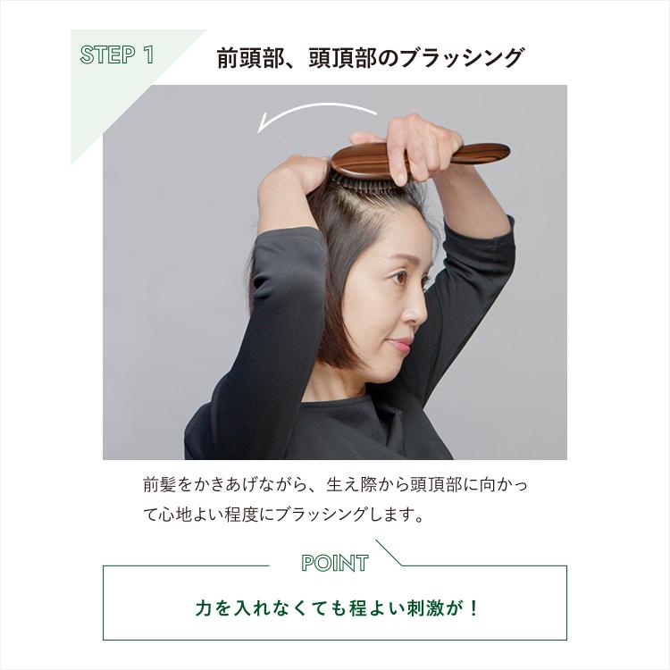 La CASTA（ラ・カスタ） ヘアブラシ | ヘッドスパブラシ + 専用