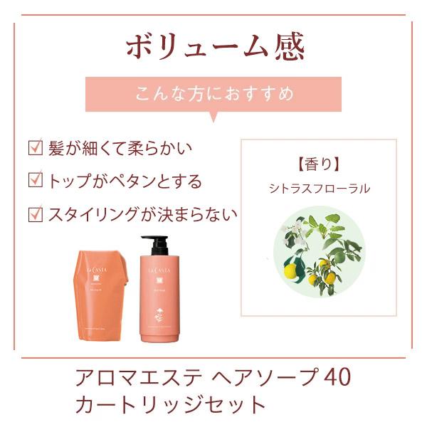 La CASTA（ラ・カスタ） シャンプー 容器セット【プレゼント付き
