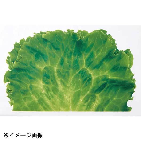 レタス用フィルム　600mm☓1000m巻2本入り ミリオンフィルムシート(1000枚入)レタス : スタイルキッチン - 通販