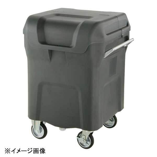Richell(リッチェル) キャリングカートN(320L) 320