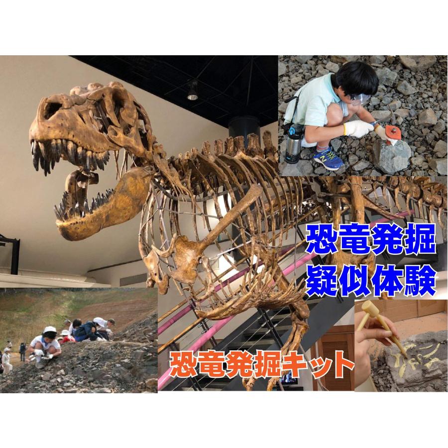 化石　トリケラトプス　恐竜　シャドウボックス　3D 機械絵　スチームパンク 51EWYneAbmL._AC_SY200_QL15_.jpg