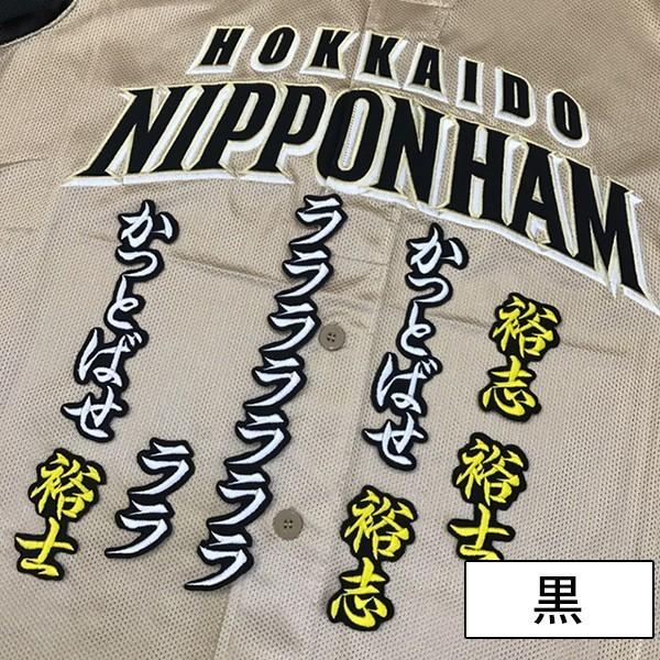日本限定モデル メール便送料無料 納期注意 日本ハムファイターズ 刺繍ワッペン 飯山 応援歌 飯山裕志 ユニフォーム 日ハム ファイターズ 刺しゅう ワッペン Sg Supplystudies Com