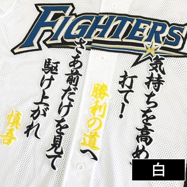 激安先着 メール便送料無料 納期注意 日本ハムファイターズ 刺繍ワッペン 石川 応援歌 石川慎吾 ユニフォーム 日ハム ファイターズ 刺しゅう ワッペン Sg Supplystudies Com