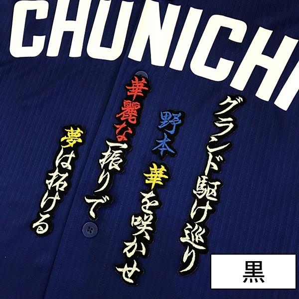 メール便送料無料】納期注意【中日ドラゴンズ 刺繍ワッペン 野本 応援 