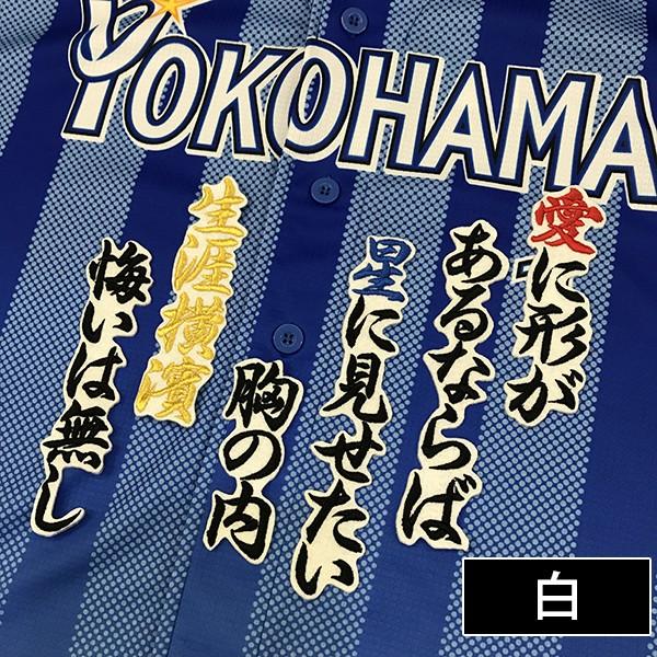 メール便送料無料】納期注意【横浜DeNAベイスターズ 刺繍ワッペン 生涯