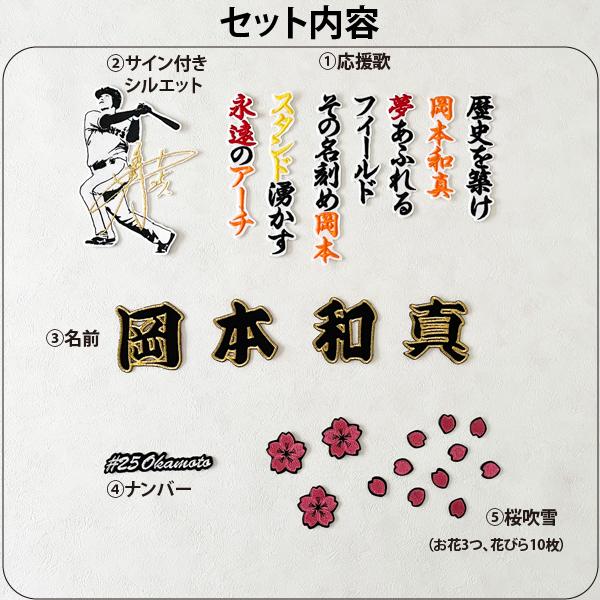納期注意【読売 ジャイアンツ 巨人 刺繍ワッペン 5点セット 納期注意【読売 ジャイアンツ 巨人 刺繍ワッペン 5点セット