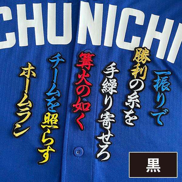 メール便送料無料】中日 ドラゴンズ 刺繍ワッペン 鵜飼 応援歌 /鵜飼航