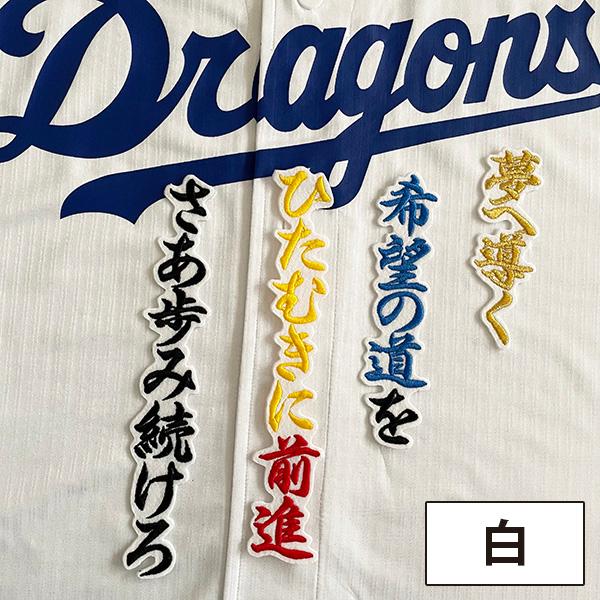 メール便送料無料】中日 ドラゴンズ 刺繍ワッペン 岡林 応援歌 /岡林