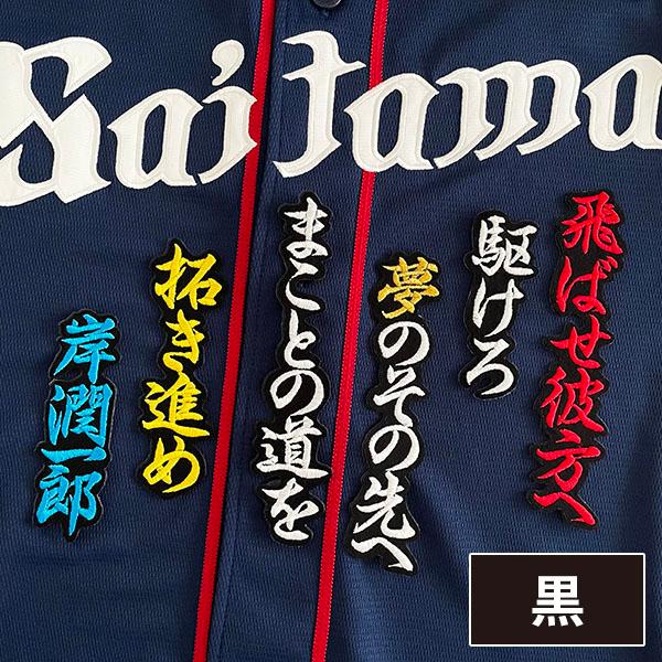 埼玉西武ライオンズ　岸　刺繍ユニフォーム　NIKEプロコレオーセンティック メール便送料無料】埼玉 西武 ライオンズ 刺繍ワッペン 岸 応援歌 /岸