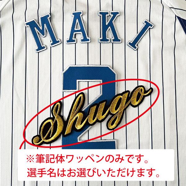 横浜denaベイスターズ 優勝記念マグネット　＆　ピンバッジ　＆ワッペン 横浜denaベイスターズ 優勝記念マグネット ＆ ピンバッジ