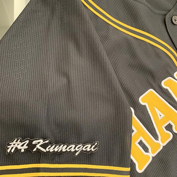 メール便送料無料】阪神 タイガース 刺繍ワッペン 熊谷 #4 ナンバー