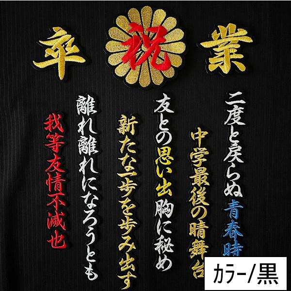 納期注意【祝 卒業 菊の紋 卒ラン用刺繍ワッペン】選べる【中学/高校 