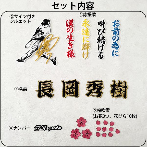 東京 ヤクルト スワローズ 刺繍ワッペン 5点セット】【桜/新ピンク