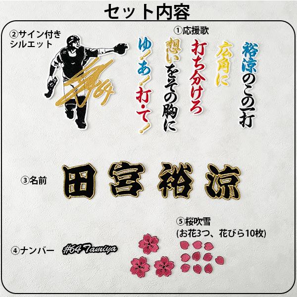 納期注意【日本ハム ファイターズ 刺繍ワッペン 5点セット】【桜/新