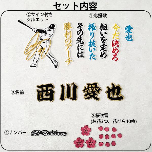 納期注意【西武ライオンズ 刺繍ワッペン 5点セット】【桜/新ピンク 