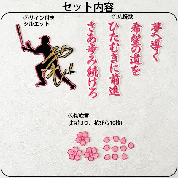 納期注意【中日 ドラゴンズ 刺繍ワッペン 3点 Bセット】【☆ピンク 