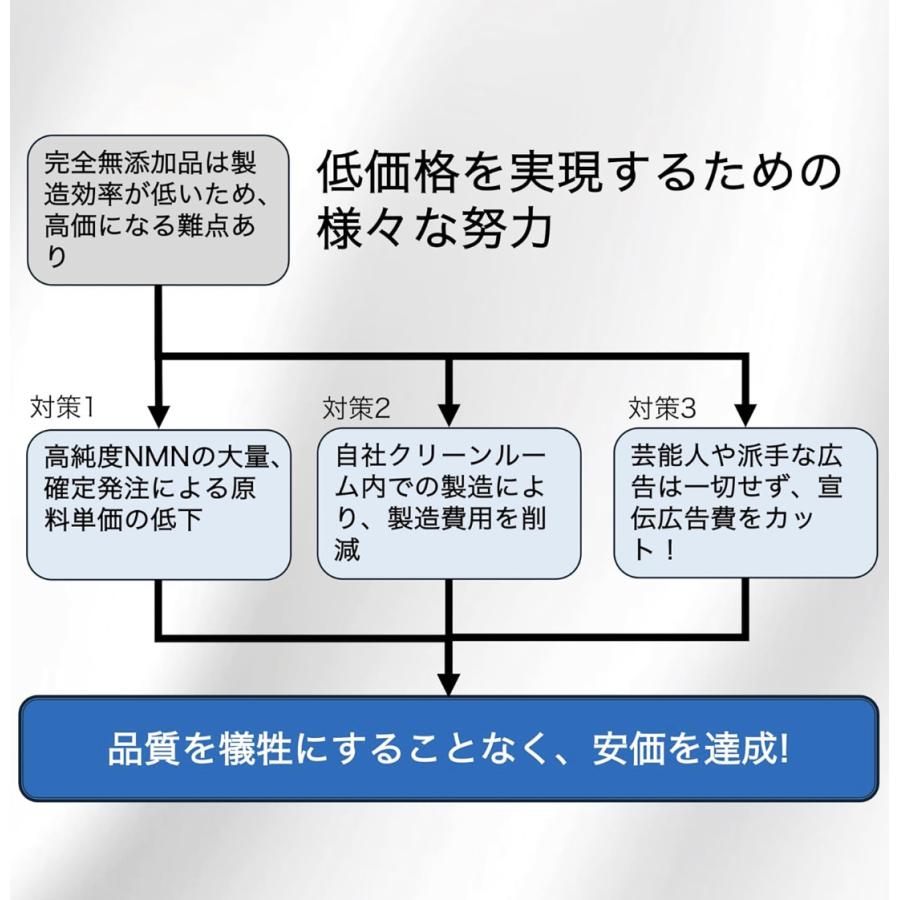 妊活スターターセット (ラクトフローラシナジー+NMN) ラクトバチルス +ラクトフェリン 日本製 完全無添加 乳酸菌 妊活 妊娠 サプリメント 免疫ケア 若返り |  | 10