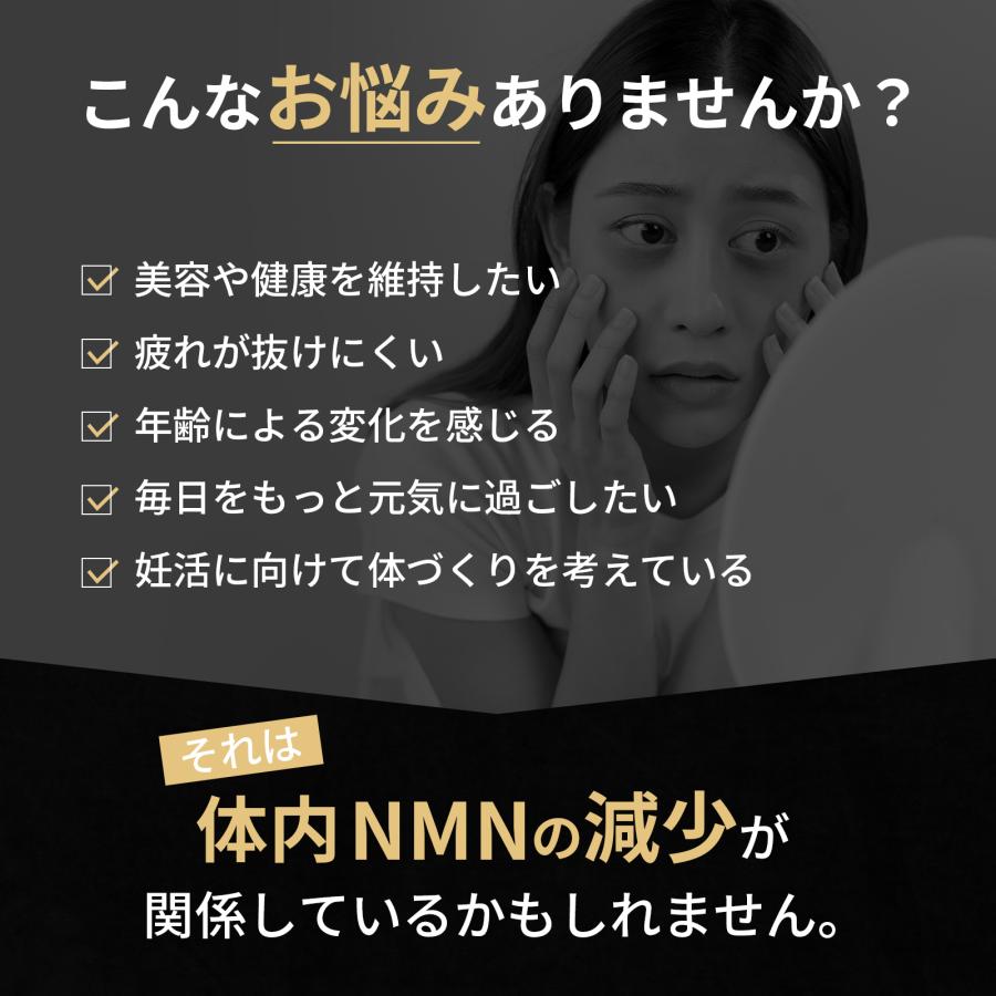 新品未開封　2箱セットNMNサプリメント純度99% NMN エヌエムエヌ サプリメント 漢方NMN＋ 2袋セット 冬虫夏草