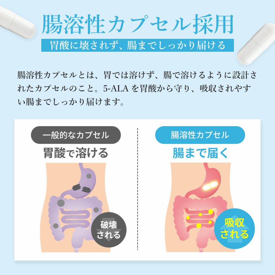 【5-ALA 1粒に100mg (倍量) x鉄】計3000mg NMN 100mg ビタミン10種 3個セット 90日分 二酸化チタン不使用 腸溶性 高純度 国内製造 サンテ研究所 |  | 10