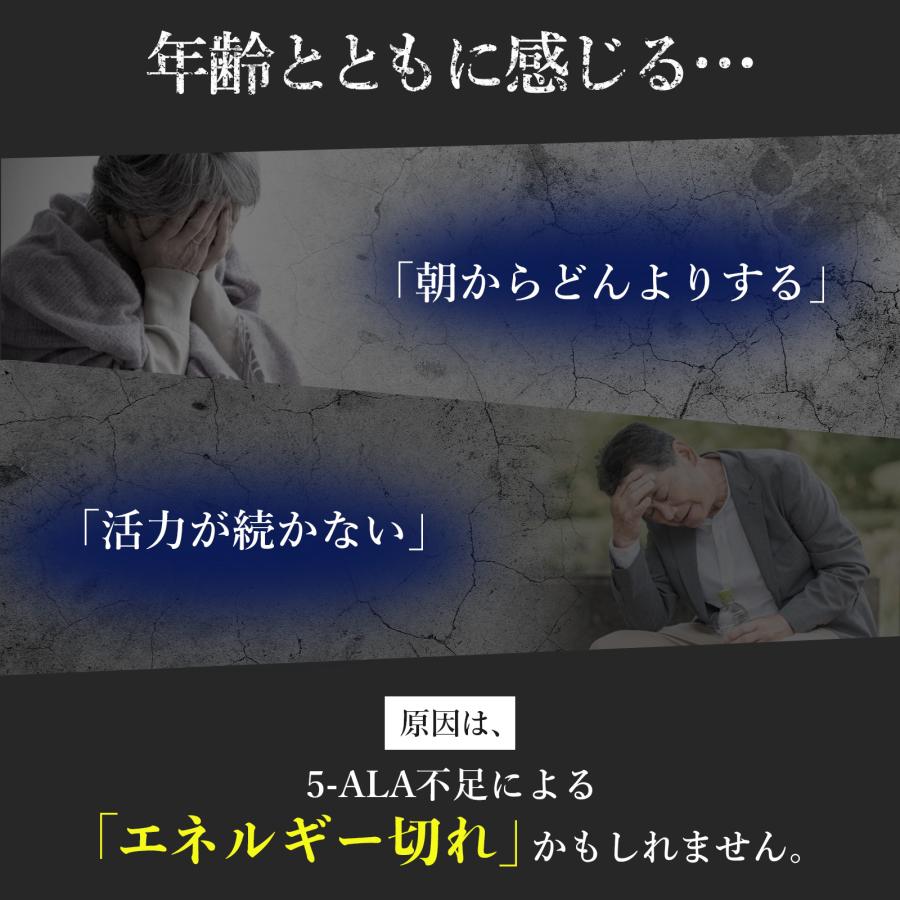 【5-ALA 1粒に100mg (倍量) x鉄】計3000mg NMN 100mg ビタミン10種 3個セット 90日分 二酸化チタン不使用 腸溶性 高純度 国内製造 サンテ研究所 |  | 04