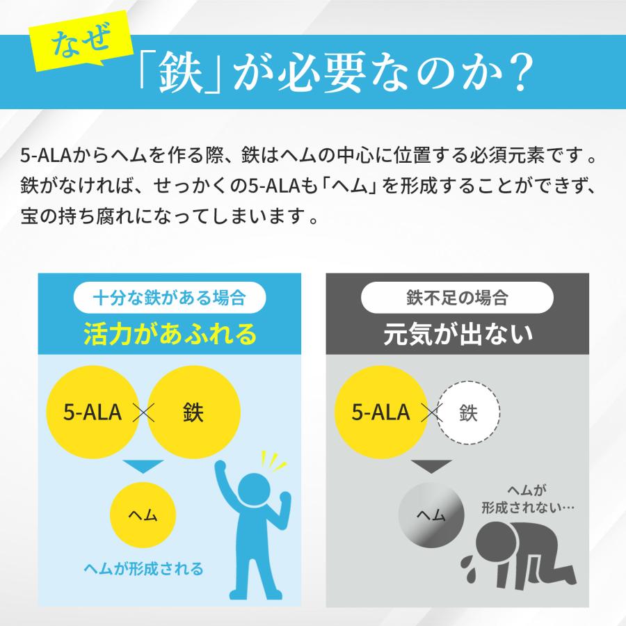 【5-ALA 1粒に100mg (倍量) x鉄】計3000mg NMN 100mg ビタミン10種 30日分 二酸化チタン不使用 腸溶性 高純度 国内製造 サンテ研究所 |  | 07