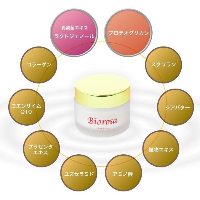 乳酸菌の贈り物 総合保湿ジェル Biorosa blanclotus(バイオローザ ブランロチュス) |  | 02