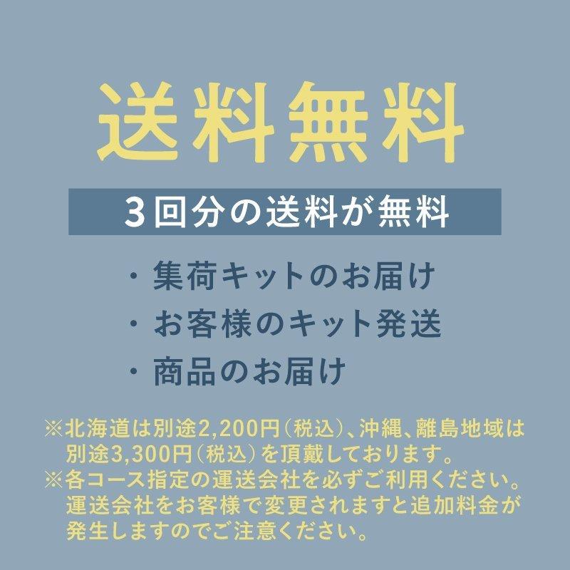 【花粉や汚れを一掃！ | 初回LINE登録で12%OFF！】クリーニング 宅配 保管 15点セット 長期保管 コート ダウン ジャケット シミ抜き 送料無料の画像