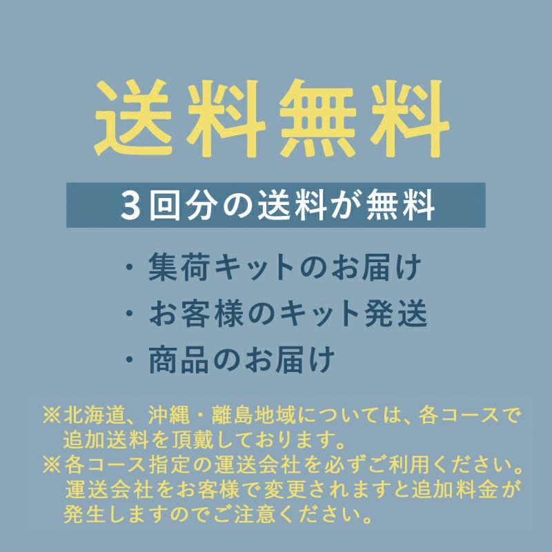 【新規LINE登録で12%OFFクーポンGET！】毛布 クリーニング保管 1枚 丸洗い 送料無料の画像