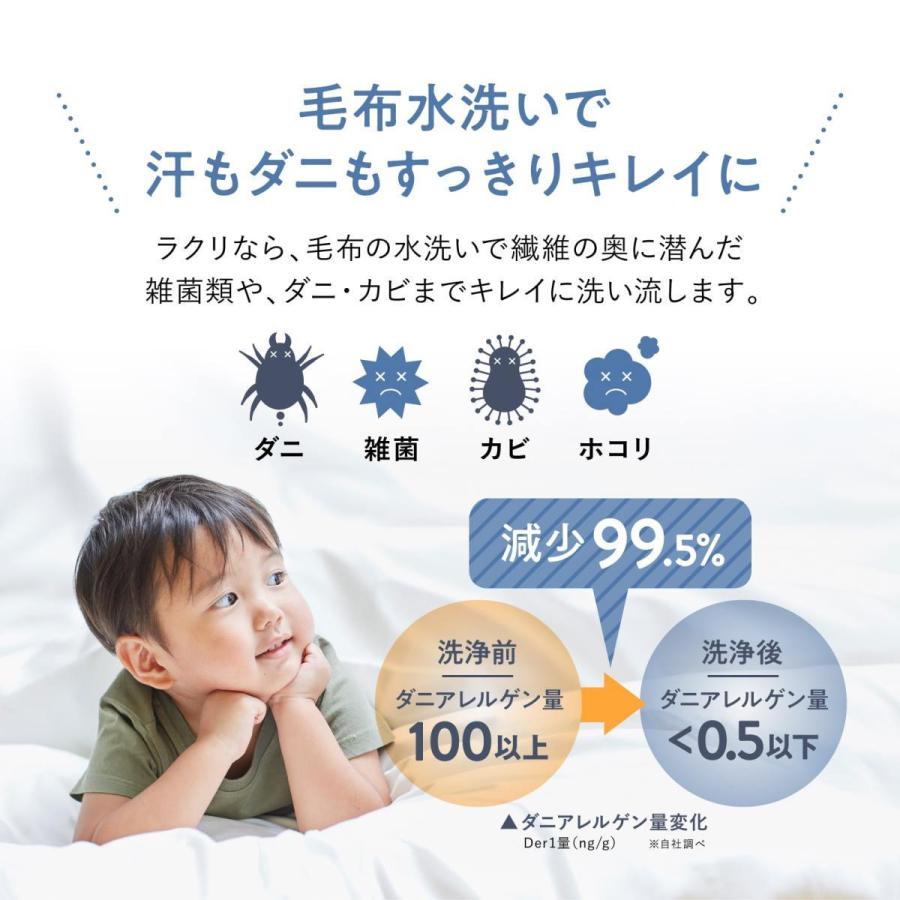 【新規LINE登録で12%OFFクーポンGET！】毛布 クリーニング保管 1枚 丸洗い 送料無料の画像