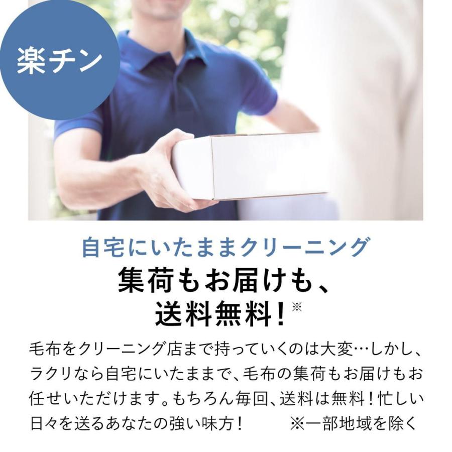 【新規LINE登録で12%OFFクーポンGET！】毛布 クリーニング保管 1枚 丸洗い 送料無料の画像