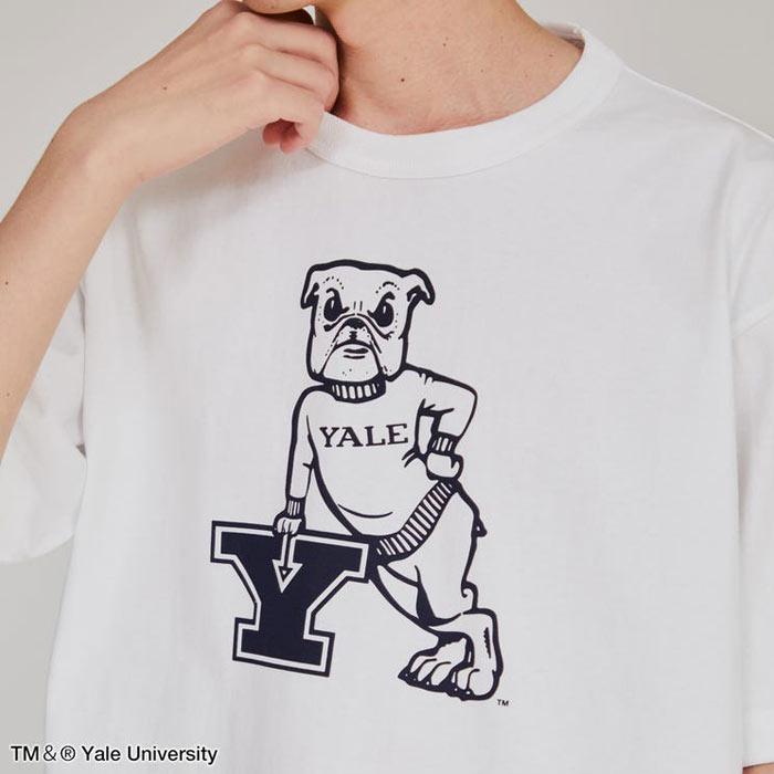 Champion（チャンピオン） Champion T1011 ティーテンイレブン YALE