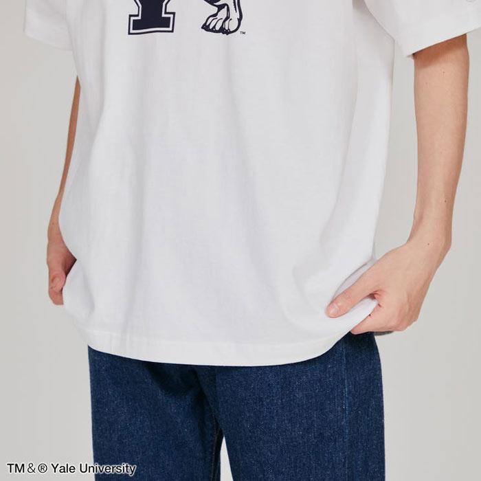 Champion（チャンピオン） Champion T1011 ティーテンイレブン YALE