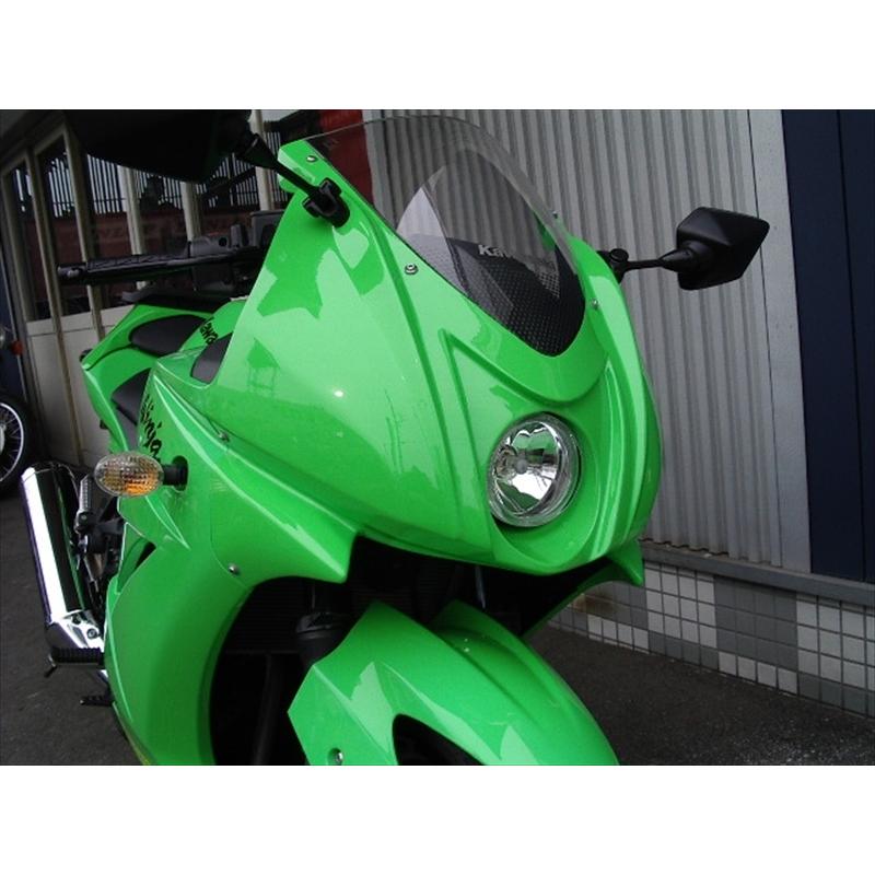PLEASURE(プレジャー) カスタムフロントカウル FRP クロゲル PK31200の画像