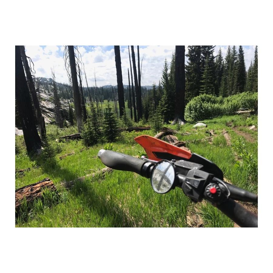 バイクミラー バックミラー オートバイ オフロード モーターサイクル 汎用 角度調整 サイドミラー ダブルテイクミラー トレイルミラー 片側 Dtm Tm Cr レディースバイク用品店バイコ 通販 Yahoo ショッピング