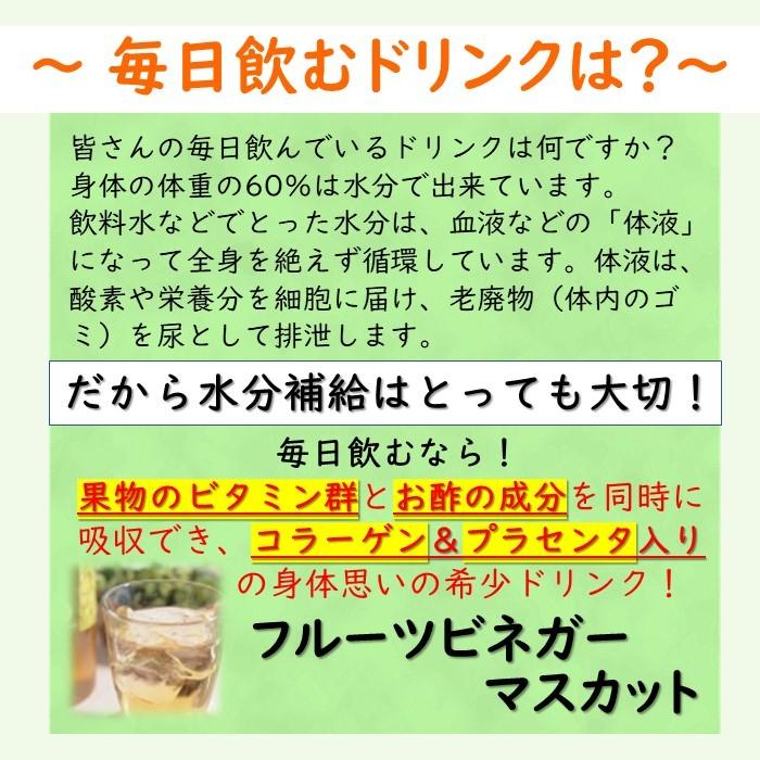 マスカットドリンク 1本 単品 果実酢 送料無料 フルーツビネガー 健康飲料 美容ドリンク 新商品 希釈 美肌 マスカット 酢 飲む酢 プラセンタ コラーゲン A La Douceur ヤフーショップ 通販 Yahoo ショッピング