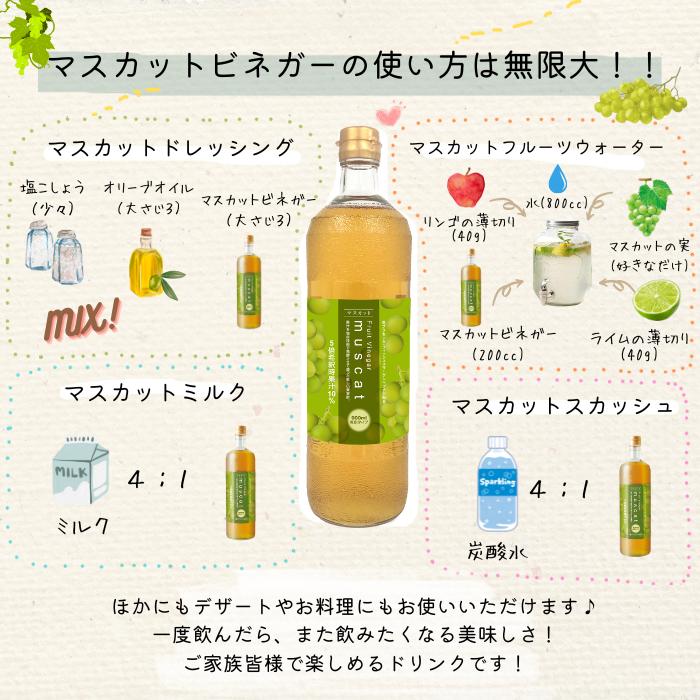 さんざしドリンク 1本 マスカット S1M1 飲み比べ 果実酢 果実酢 飲む酢 さんざし プラセンタ 2本 コラーゲン 健康ドリンク 果汁入 |  | 03