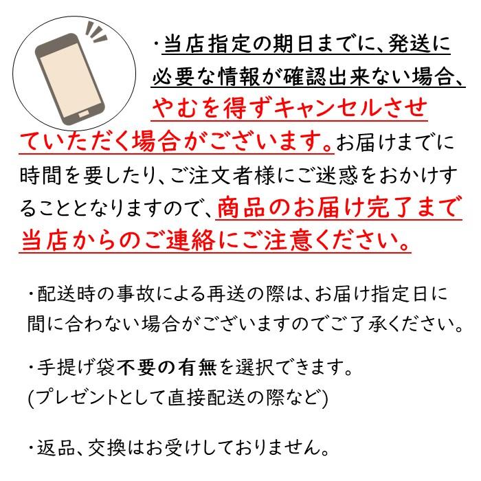 サンザシドリンク 1本 ラッピング ギフト 贈答用 袋付き プレゼント 包装  贈り物 さんざしドリンク 誕生日プレゼント フルーツハーブ Pr |  | 02