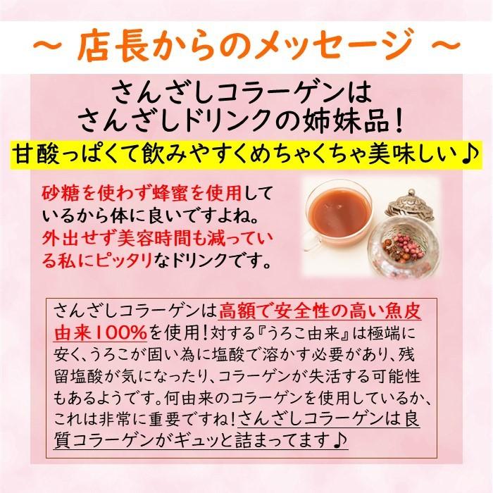 サンザシドリンク さんざしコラーゲン ラッピング ギフト 贈答  贈り物 包装 プレゼント さんざしドリンク 誕生日 クリスマス K Pr |  | 16