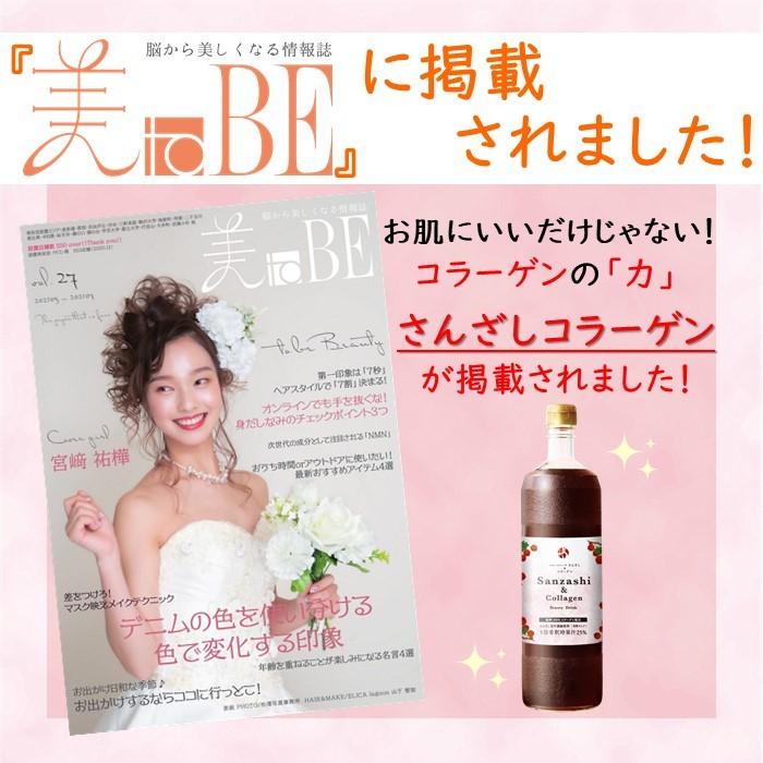 サンザシドリンク さんざしコラーゲン ラッピング ギフト 贈答  贈り物 包装 プレゼント さんざしドリンク 誕生日 クリスマス K Pr |  | 17