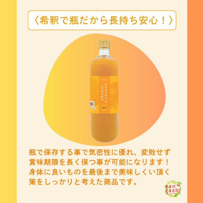 SALE サジーオランジュ2本セット 鉄分 サジージュース サジードリンク