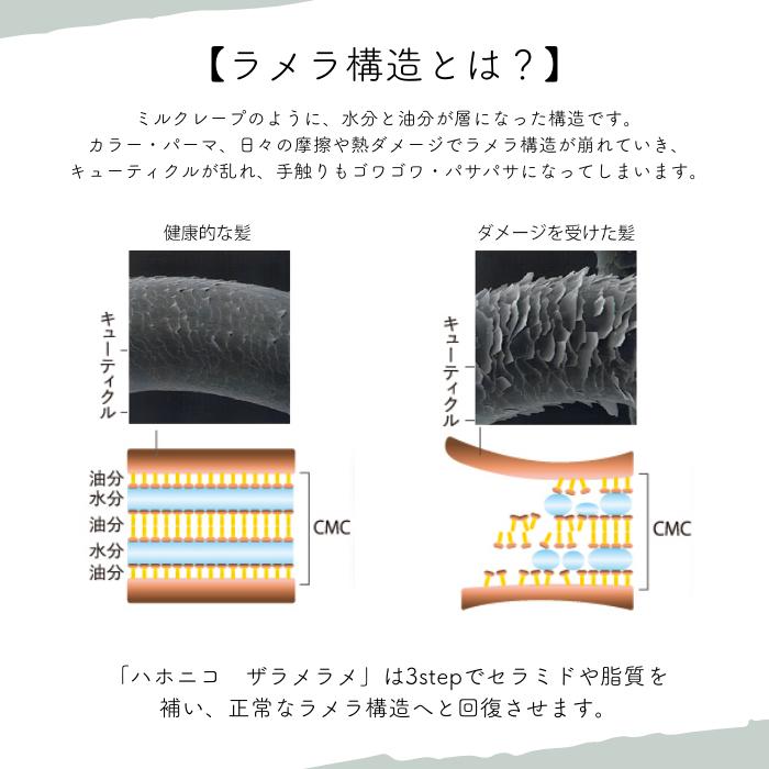 ハホニコ ブラックレーベル 3点セット ポンプ2個付 ハホニコ ブラックレーベル 3点セット ポンプ2個付
