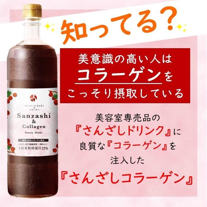 さんざし6本と同額！ サンザシドリンク 5本 さんざしコラーゲン 1本 計6本 S5C1P1 飲み比べ ビタミンC さんざし 美容ドリンク 健康ドリンク セット BP |  | 04